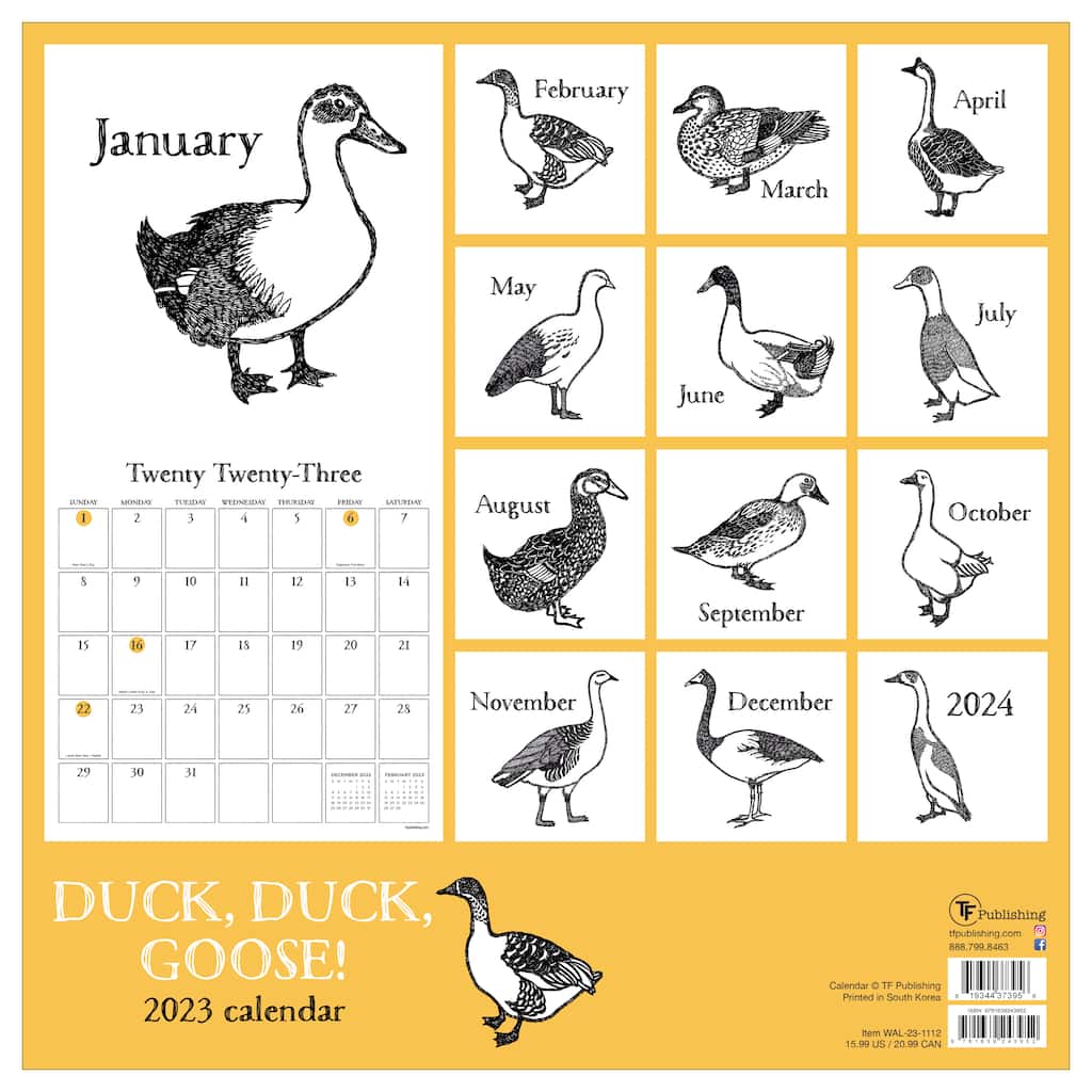 TF Publishing 2025 Duck Duck Goose Wall Calendar Michaels